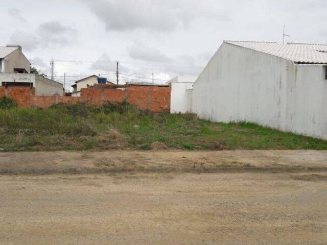 #TR230221 - Terreno para Venda em Campos dos Goytacazes - RJ - 1