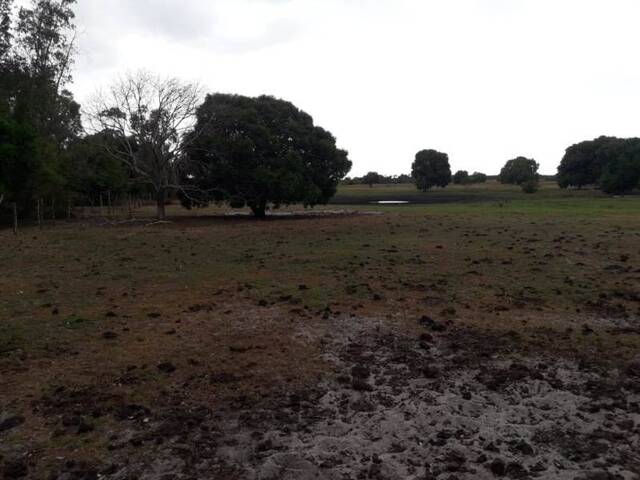 #1564 - Fazenda para Venda em Campos dos Goytacazes - RJ - 1