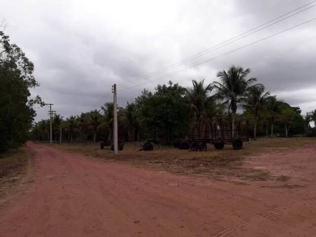 #1564 - Fazenda para Venda em Campos dos Goytacazes - RJ - 3