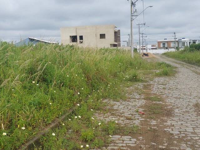 #258 - Terreno para Venda em Campos dos Goytacazes - RJ - 1