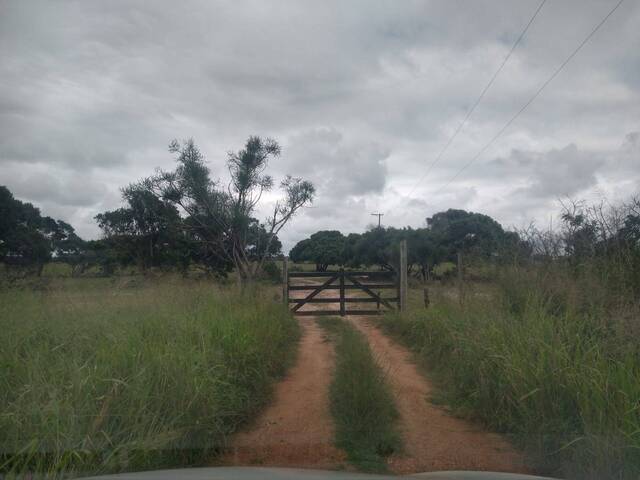 #464 - Fazenda para Venda em São João da Barra - RJ - 1