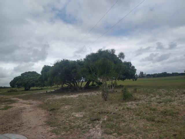 #464 - Fazenda para Venda em São João da Barra - RJ - 2